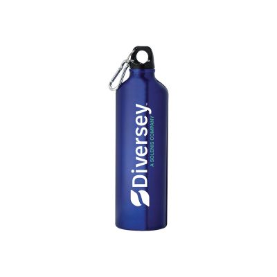 Diversey Aluminum Water Bottle